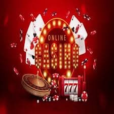 win44 app